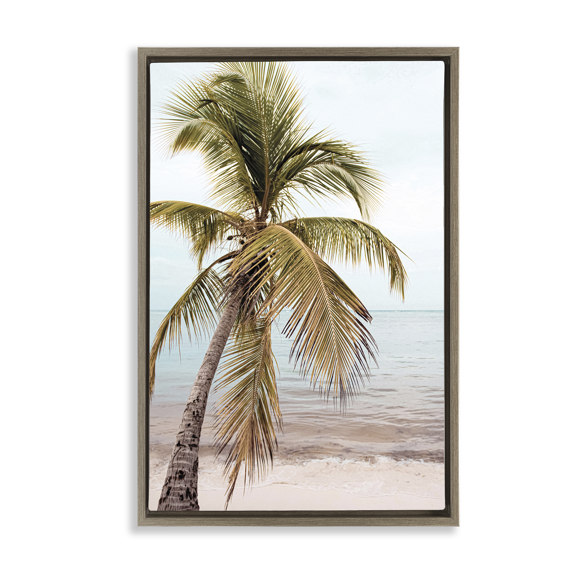 Stupell Industries California Summer Palm Nautical & Beach Photography Brown Floater Framed Canvas Art Print Wall Art, 17 x 25