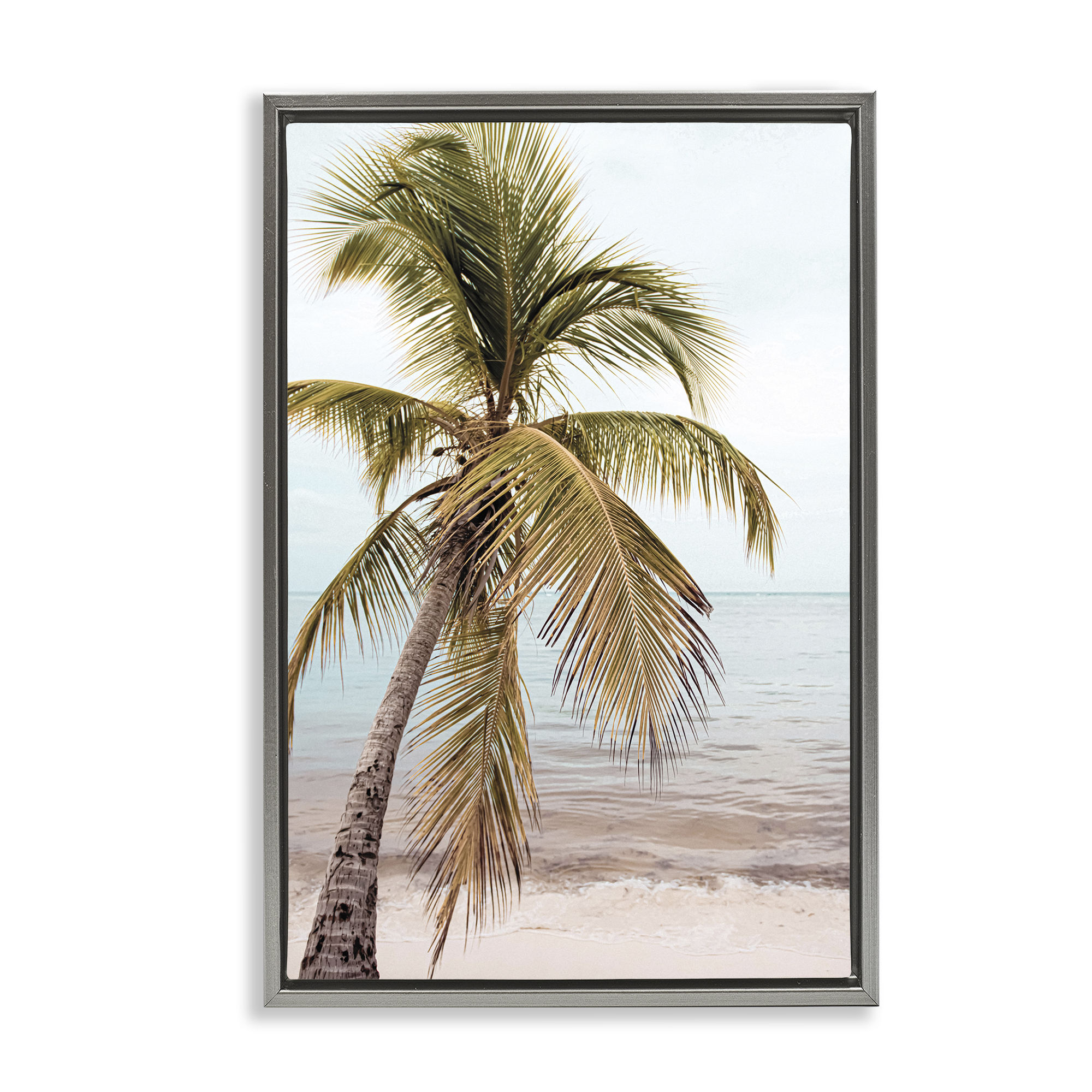 Stupell Industries California Summer Palm Nautical & Beach Photography Gray Floater Framed Canvas Art Print Wall Art, 17 x 25