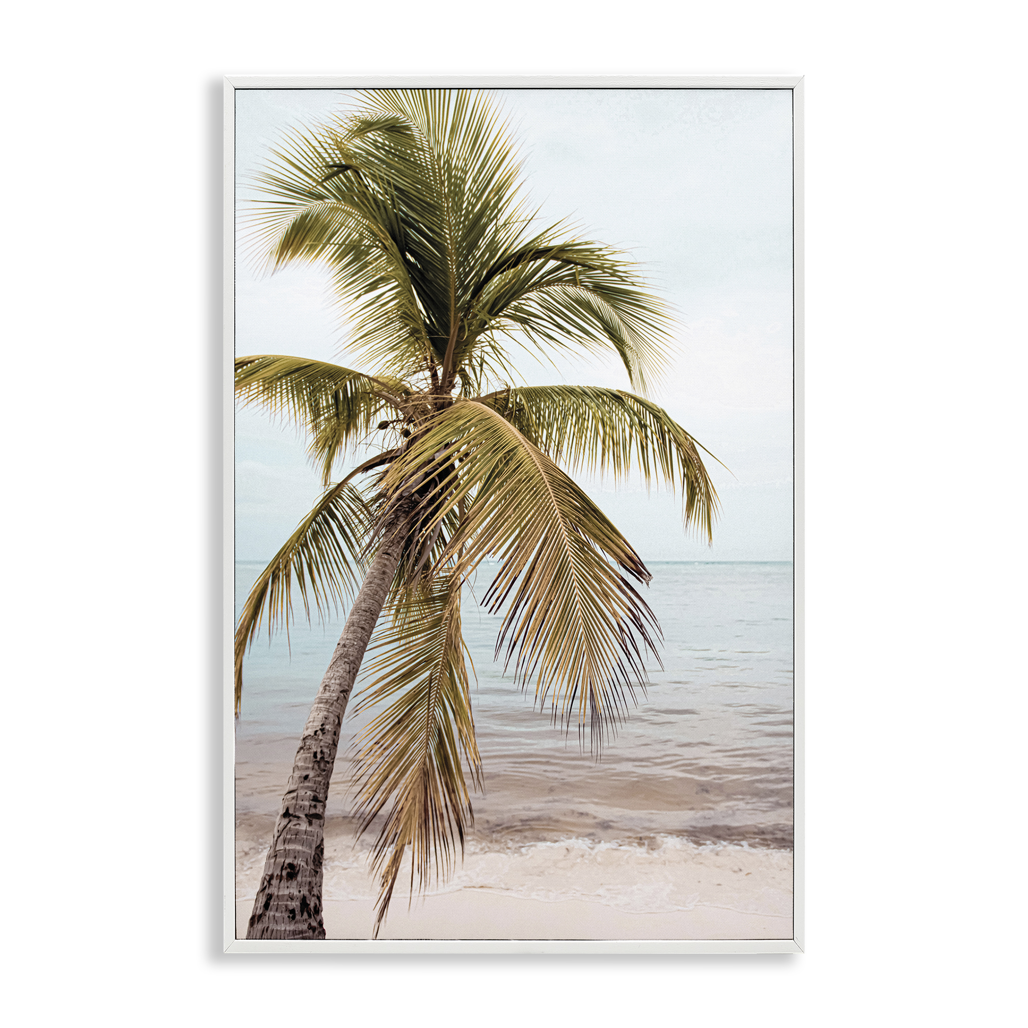 Stupell Industries California Summer Palm Nautical & Beach Photography White Framed Art Print Wall Art, 20 x 30