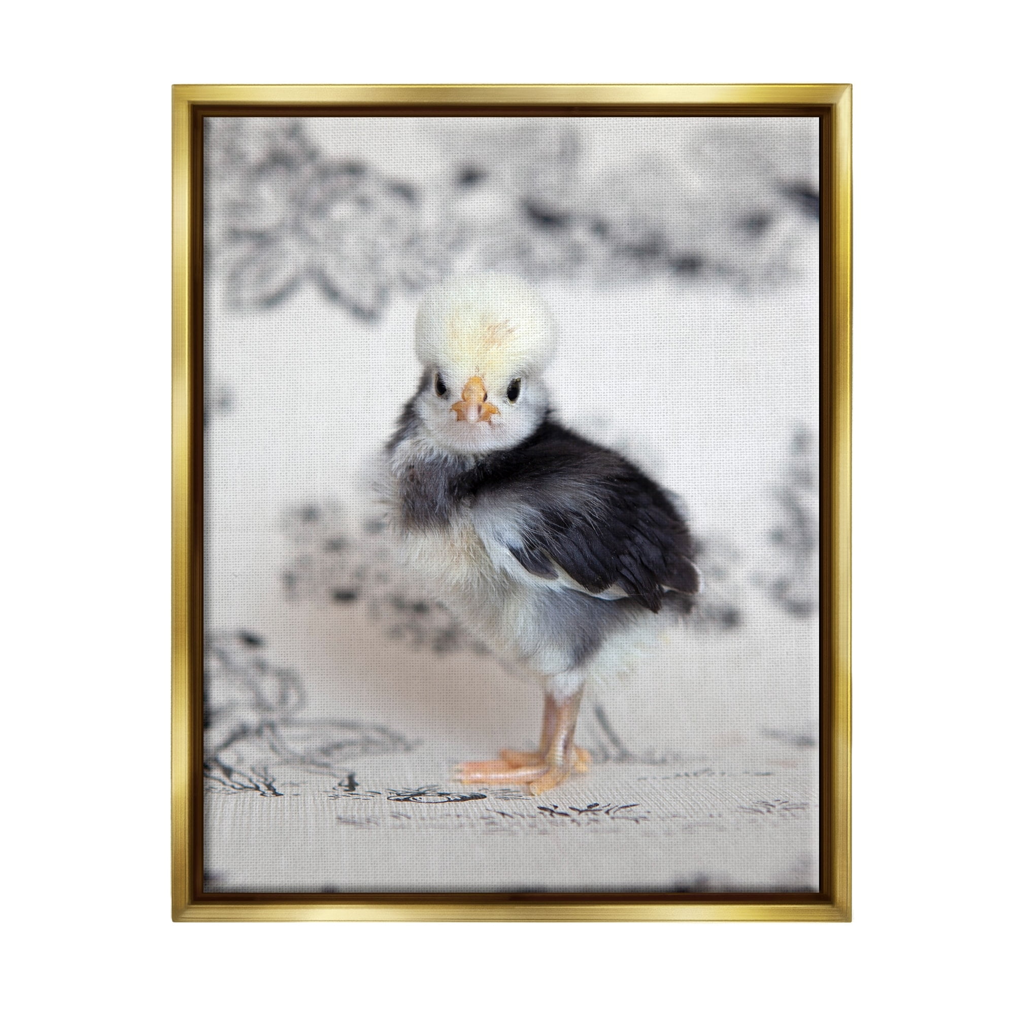 Stupell Industries Calm Baby Bird Chick Gazing Close-Up Photography Pattern Photograph Metallic Gold Floating Framed Canvas Print Wall Art, Design by Tania Soderman