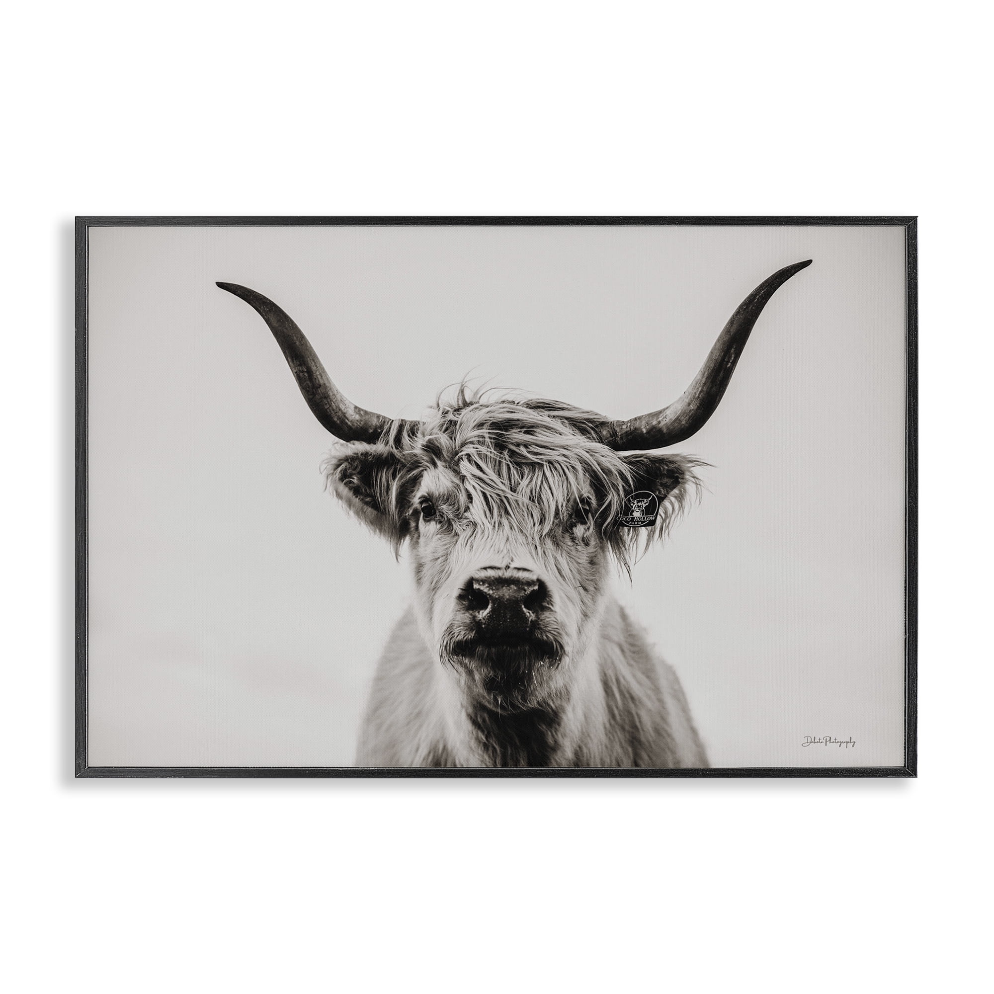 Stupell Industries Calm Cattle Portrait Animals & Insects Photography Black Framed Art Print Wall Art, 30 x 20