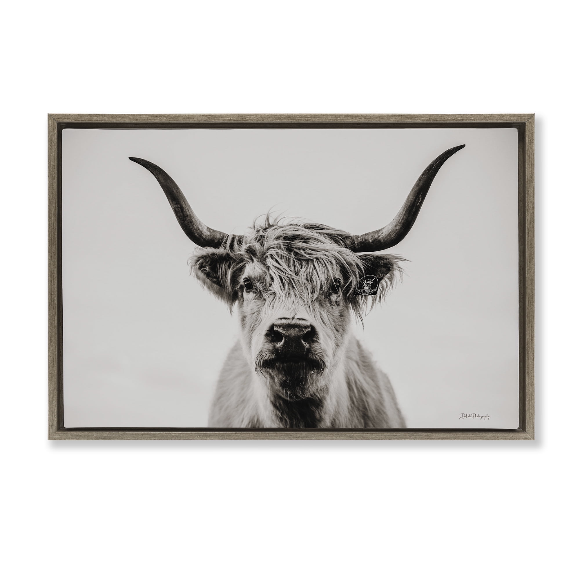 Stupell Industries Calm Cattle Portrait Animals & Insects Photography Brown Floater Framed Canvas Art Print Wall Art, 25 x 17
