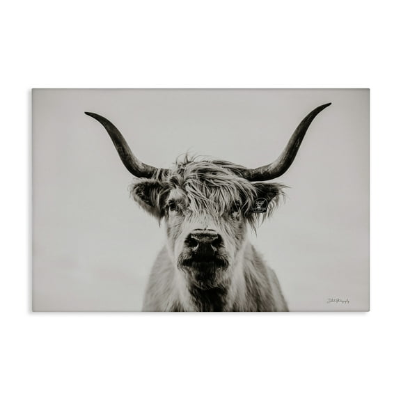 Stupell Industries Calm Cattle Portrait Animals & Insects Photography Gallery Wrapped Canvas Art Print Wall Art, 24 x 16