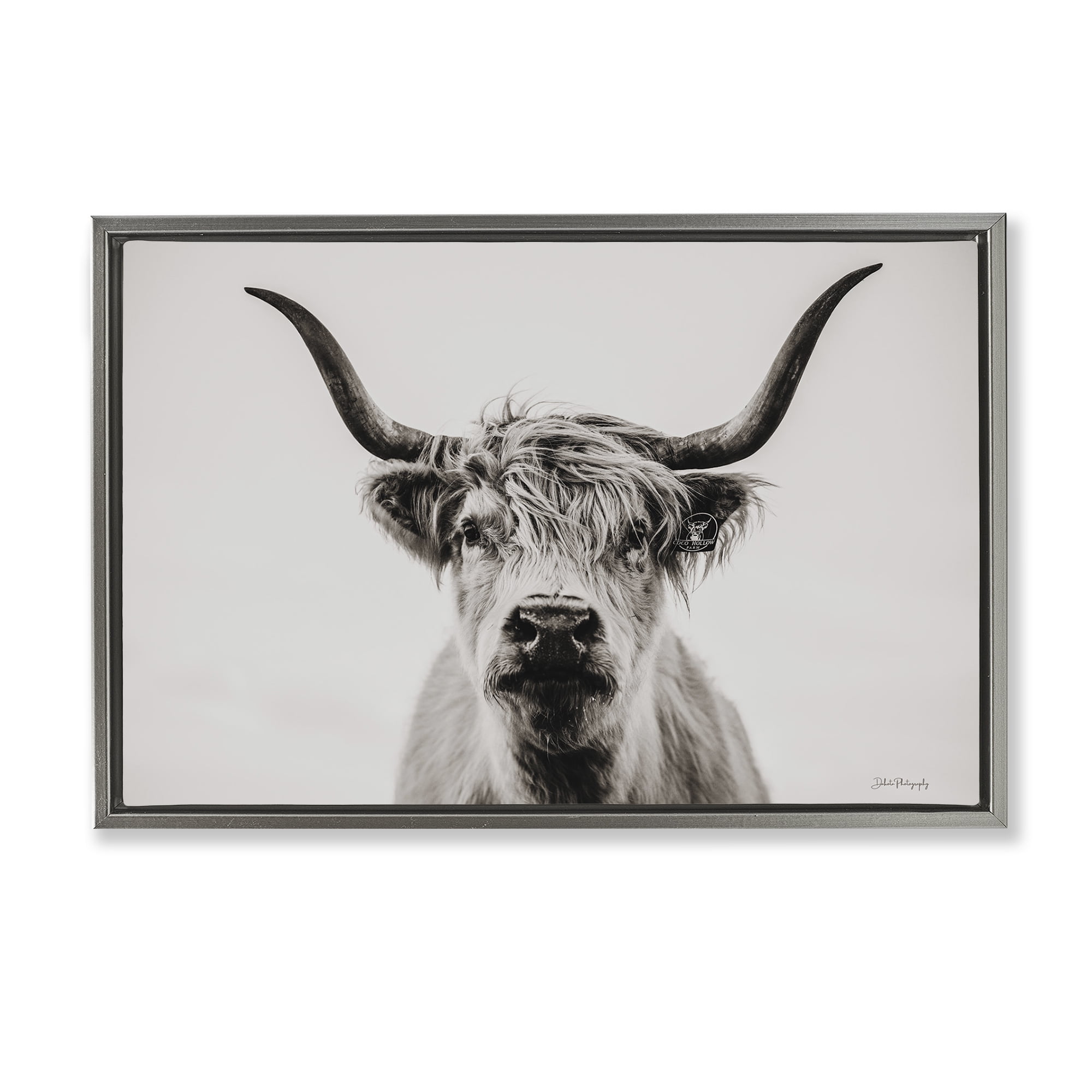 Stupell Industries Calm Cattle Portrait Animals & Insects Photography Gray Floater Framed Canvas Art Print Wall Art, 25 x 17