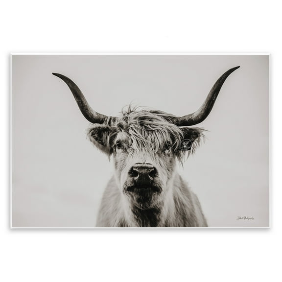 Stupell Industries Calm Cattle Portrait Animals & Insects Photography Unframed Art Print Wall Art, 15 x 10