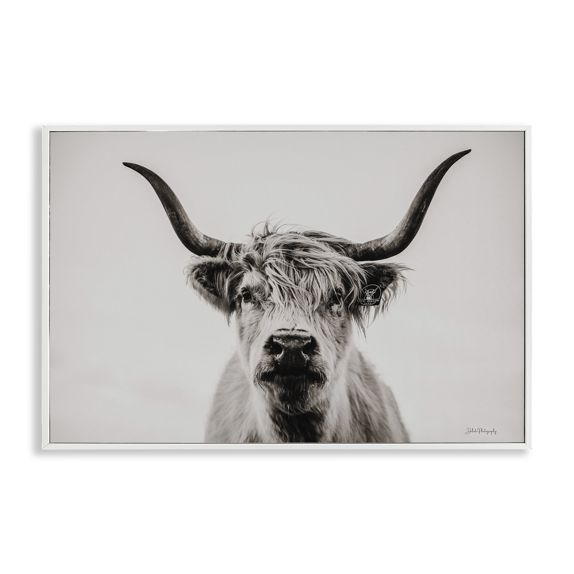 Stupell Industries Calm Cattle Portrait Animals & Insects Photography White Framed Art Print Wall Art, 30 x 20