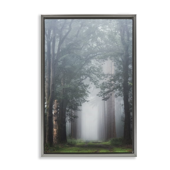Stupell Industries Calm Forest Clearing Landscape & Nature Photography Gray Floater Framed Canvas Art Print Wall Art, 17 x 25