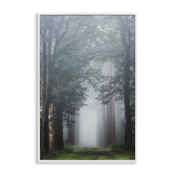 Stupell Industries Calm Forest Clearing Landscape & Nature Photography White Framed Art Print Wall Art, 20 x 30