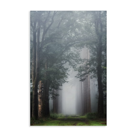 Stupell Industries Calm Forest Clearing Landscape & Nature Photography Wrapped Canvas Canvas Art Print Wall Art, 30 x 45