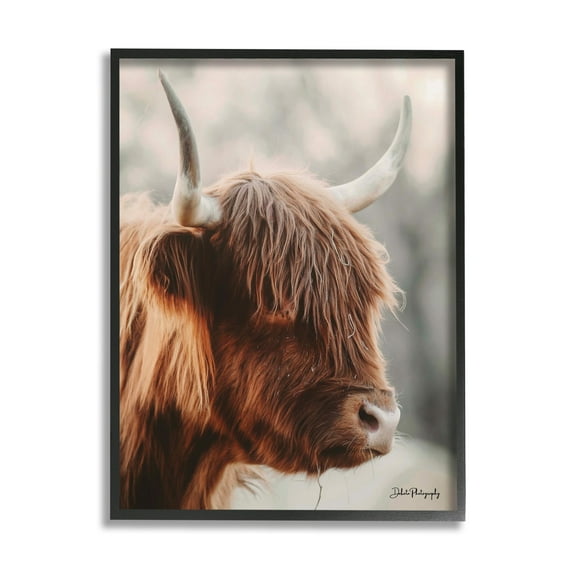 Stupell Industries Calm Highland Cow Cattle Portrait Horns Photography Photograph Black Framed Art Print Wall Art, Design by Dakota Diener