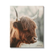 Stupell Industries Calm Highland Cow Cattle Portrait Horns Photography Photograph Gallery Wrapped Canvas Print Wall Art, Design by Dakota Diener