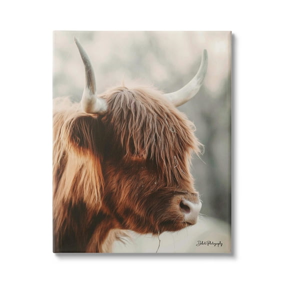 Stupell Industries Calm Highland Cow Cattle Portrait Horns Photography Photograph Gallery Wrapped Canvas Print Wall Art, Design by Dakota Diener