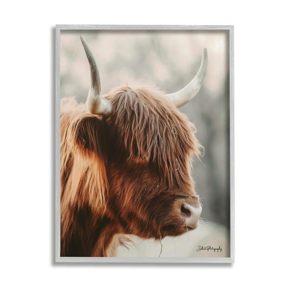 Stupell Industries Calm Highland Cow Cattle Portrait Horns Photography Photograph Gray Framed Art Print Wall Art, Design by Dakota Diener