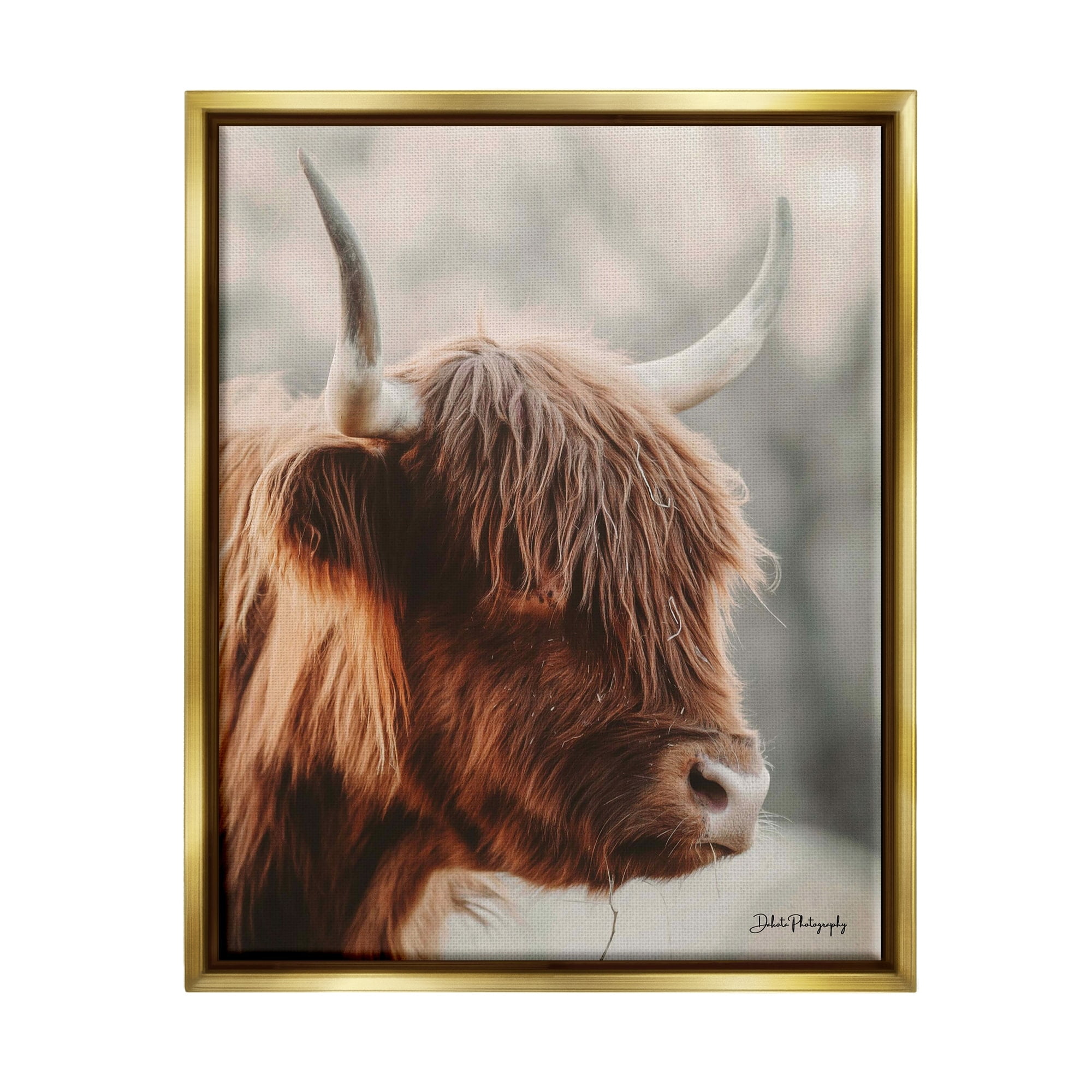 Stupell Industries Calm Highland Cow Cattle Portrait Horns Photography Photograph Metallic Gold Floating Framed Canvas Print Wall Art, Design by Dakota Diener