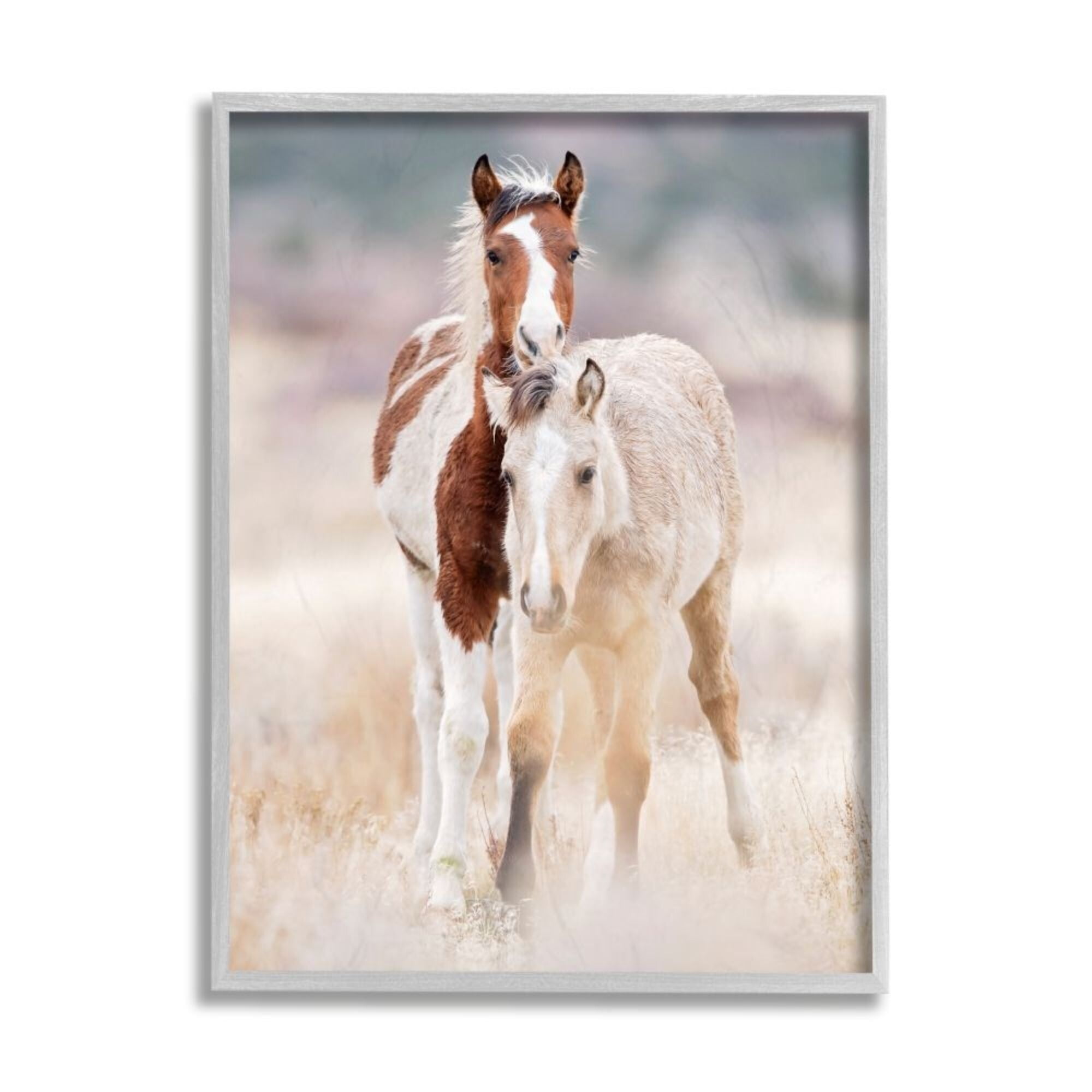 Stupell Industries Calm Horses in Muted Beige Meadow Photograph Framed Wall Art 11 x 14 Silver