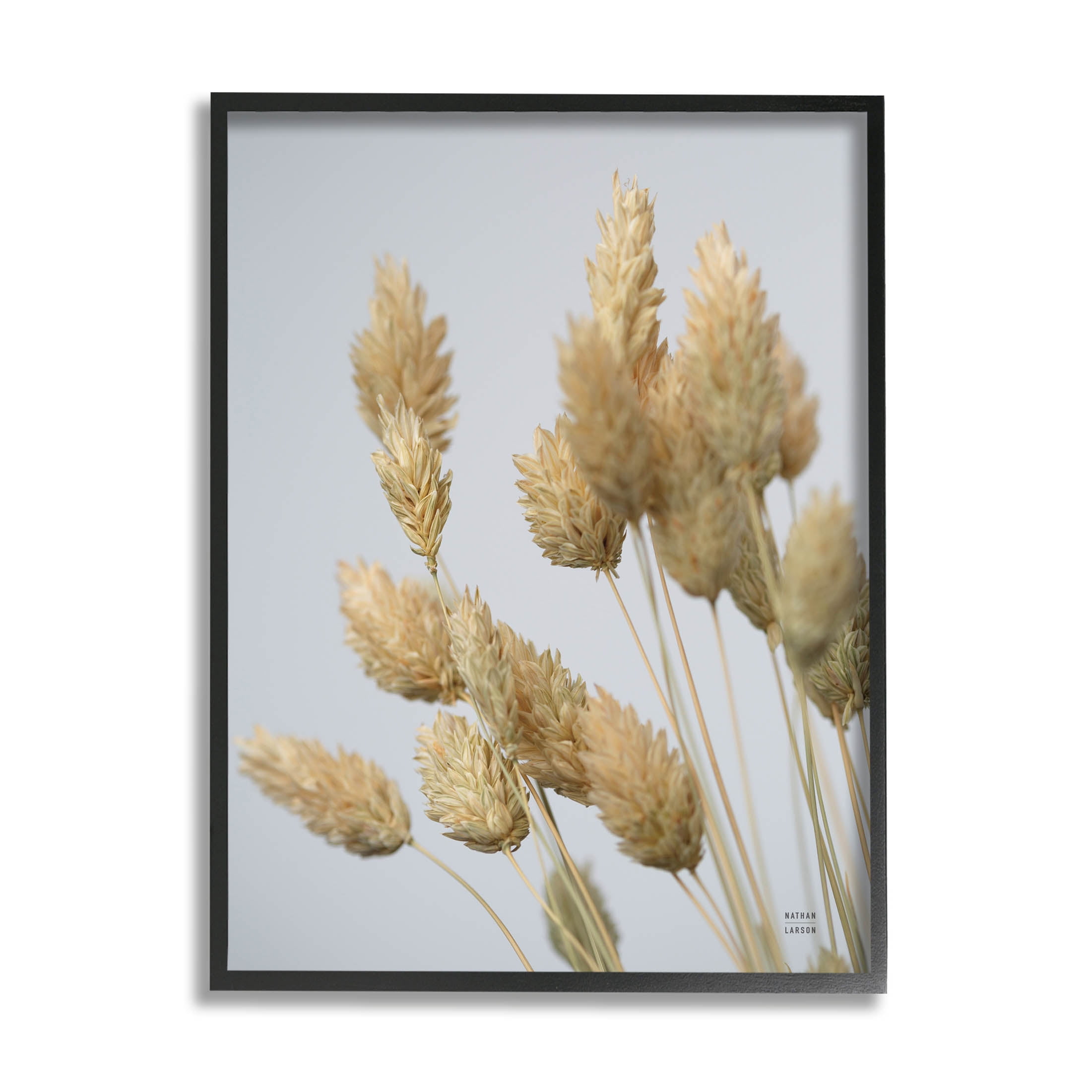 Stupell Industries Calm Pampas Grass Breezy Sky Photograph Black Framed Art Print Wall Art, Design by Nathan Larson
