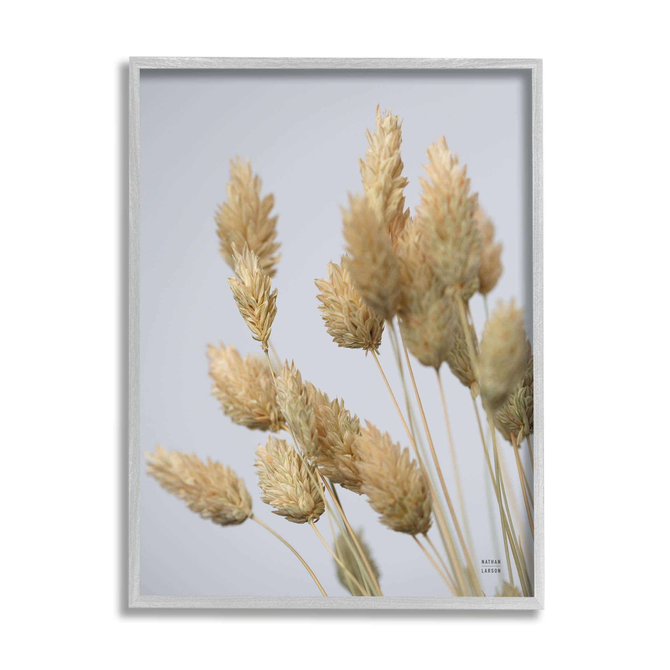 Stupell Industries Calm Pampas Grass Breezy Sky Photograph Gray Framed Art Print Wall Art, Design by Nathan Larson