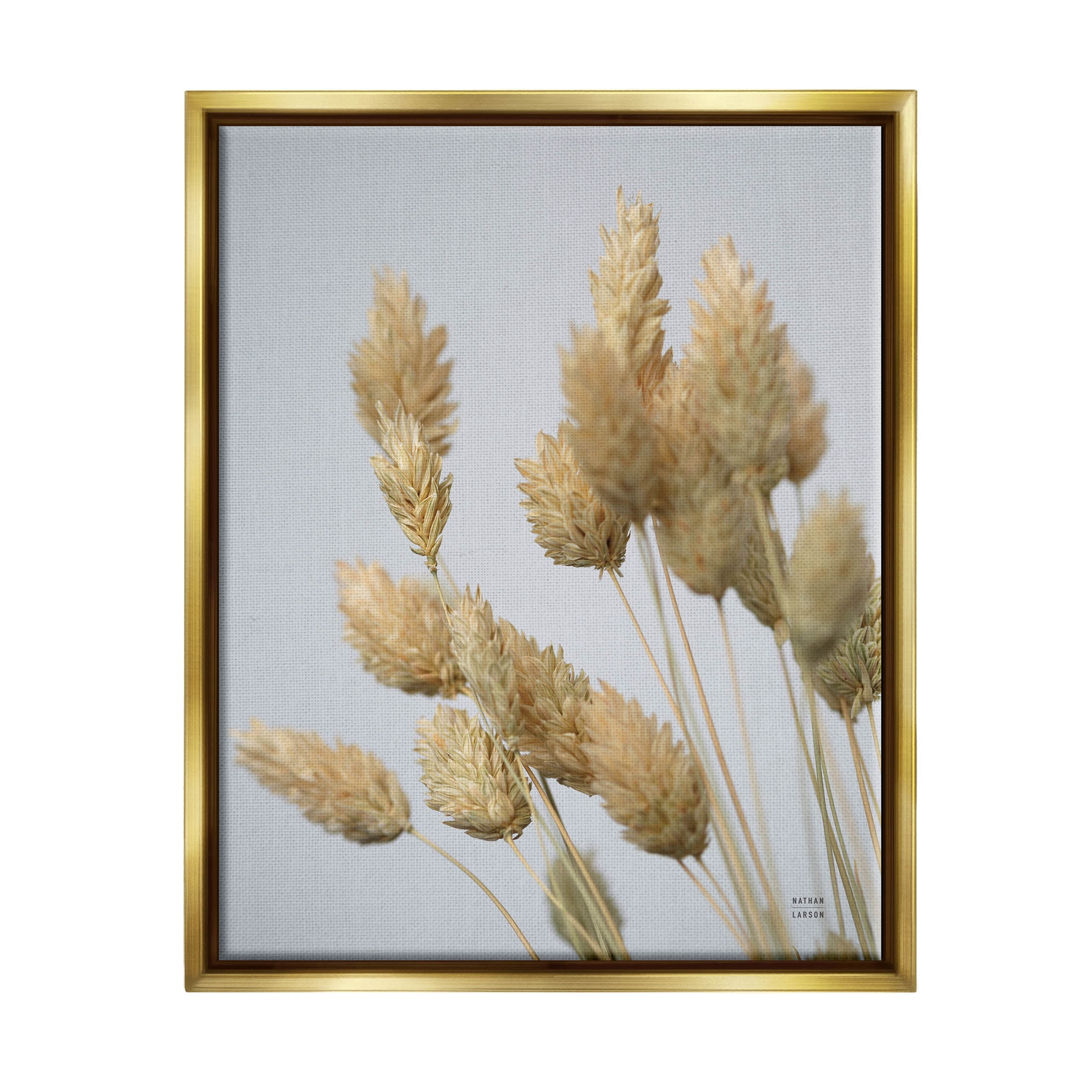 Stupell Industries Calm Pampas Grass Breezy Sky Photograph Metallic Gold Floating Framed Canvas Print Wall Art, Design by Nathan Larson