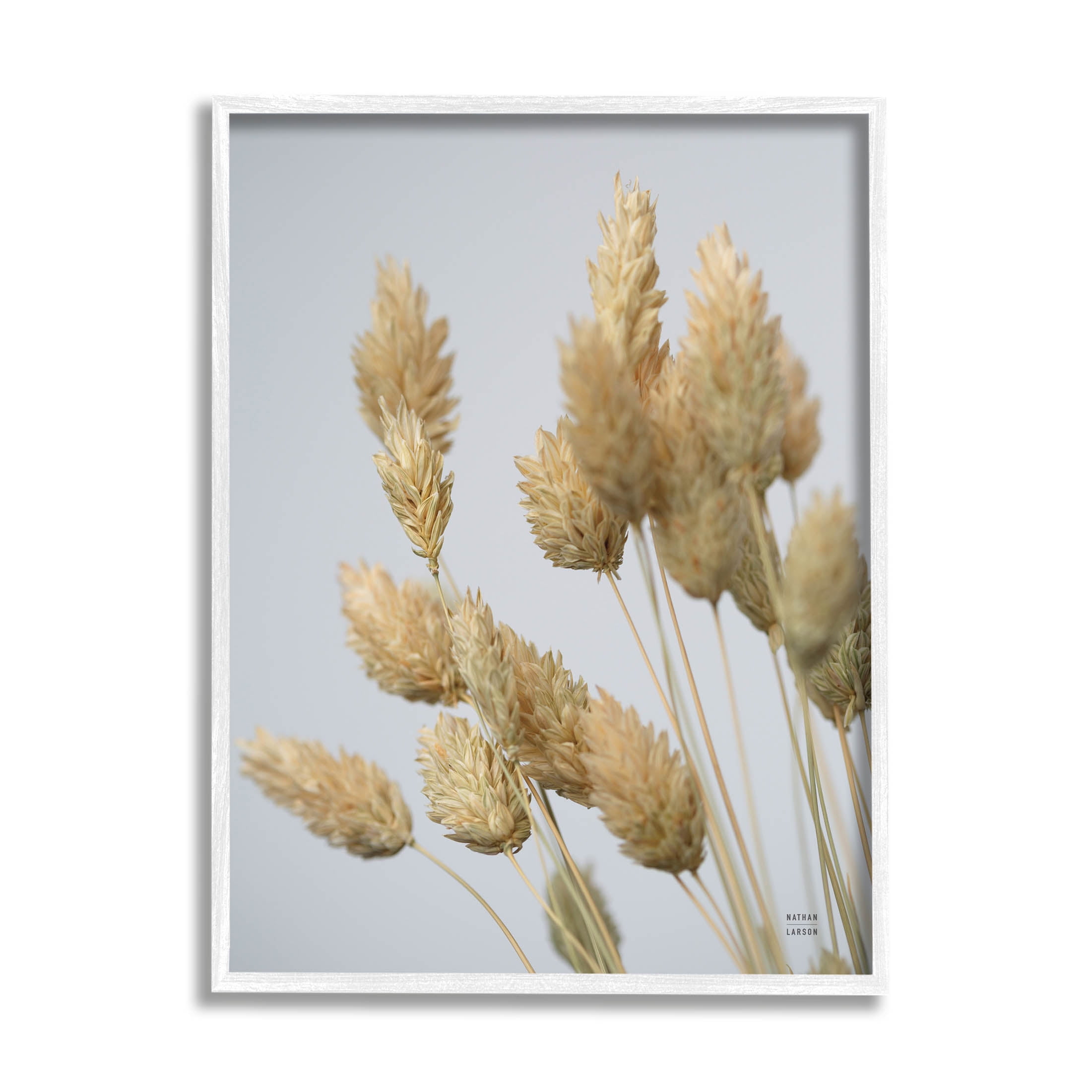 Stupell Industries Calm Pampas Grass Breezy Sky Photograph White Framed Art Print Wall Art, Design by Nathan Larson
