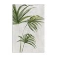 thumbnail image 1 of Stupell Industries Contemporary Calm Tropical Breeze Canvas Art, 24 x 36, by Hannah Dawson, 1 of 7