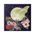 thumbnail image 1 of Stupell Industries Calming Nighttime Luna Moth Flying Moon Flowers Graphic Art Gallery Wrapped Canvas Print Wall Art, Design by Raquel Maciel, 1 of 5
