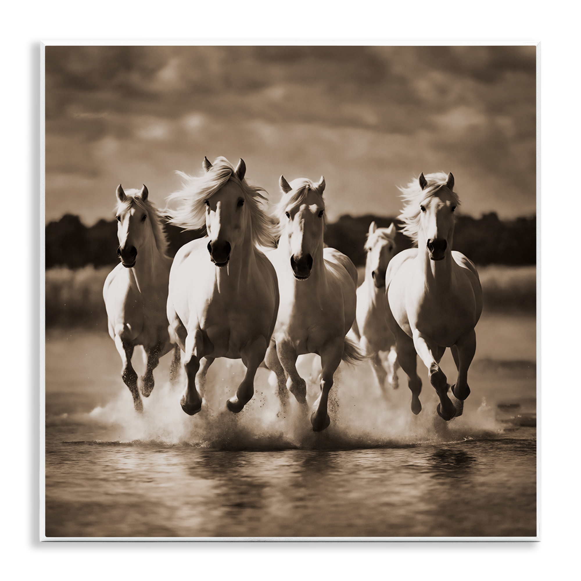 Stupell Industries Camargue Stallions Trotting Animals Painting Unframed Art Print Wall Art, 12 x 12