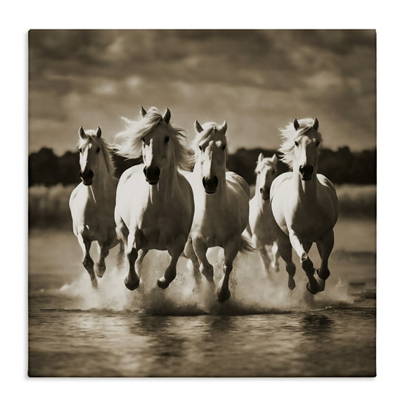 Stupell Industries Camargue Stallions Trotting Animals Painting Wrapped Canvas Art Print Wall Art, 17 x 17