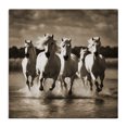 thumbnail image 1 of Stupell Industries Rustic Lodge Camargue Stallions Trotting Canvas Art, 17 x 17, by Noah Bay, 1 of 8