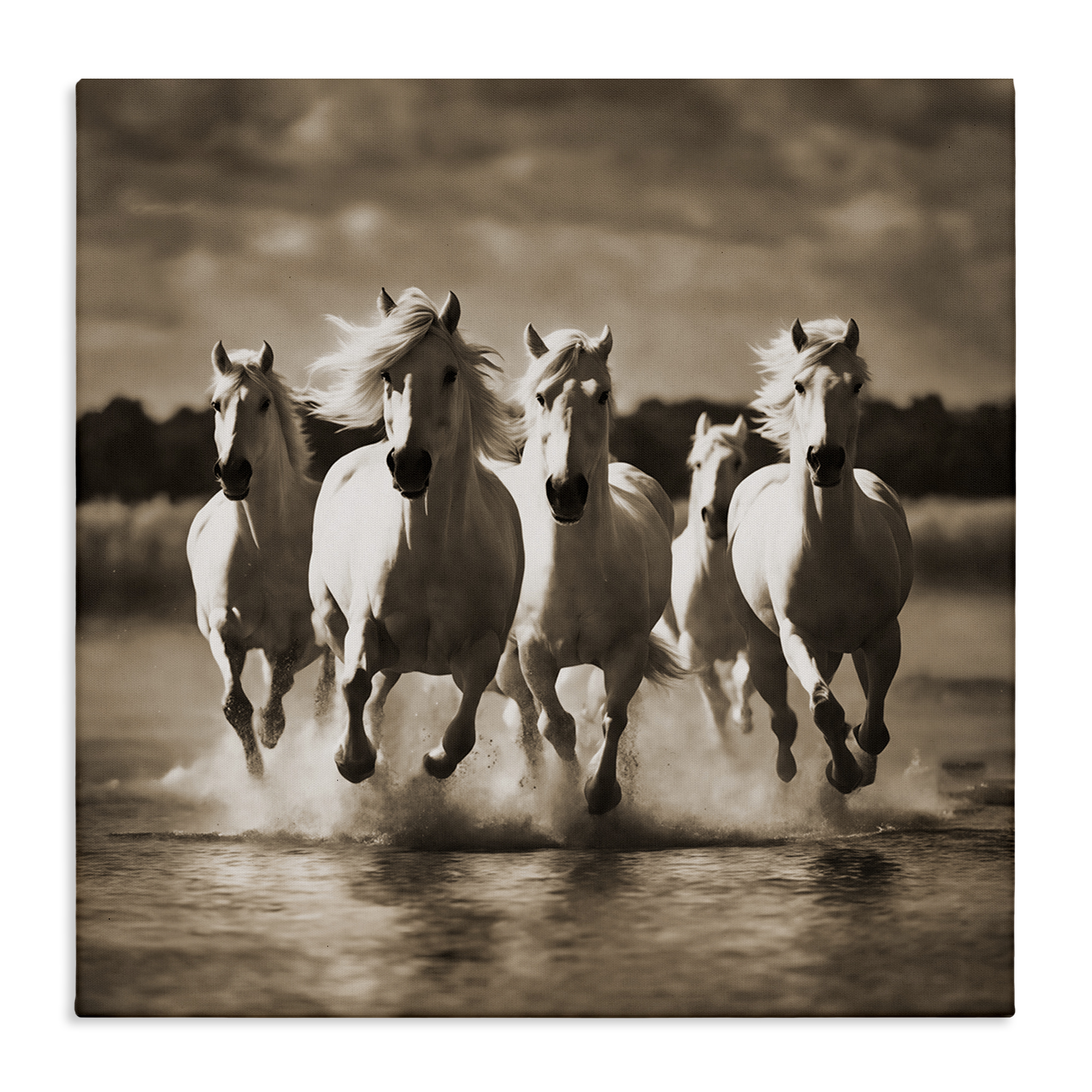 Stupell Industries Camargue Stallions Trotting Animals Painting Wrapped Canvas Art Print Wall Art, 30 x 30