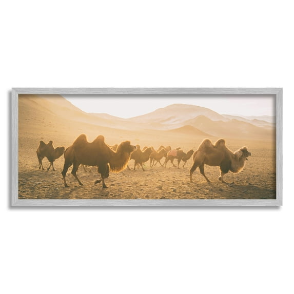 Stupell Industries Camels Marching Desert Animals Canyon Landscape Photography Gray Framed Art Print Wall Art, 13x30, by Aledanda