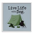 thumbnail image 1 of Stupell Industries Coastal White Framed Giclee Art, 24 x 24, by Dog Is Good, 1 of 8