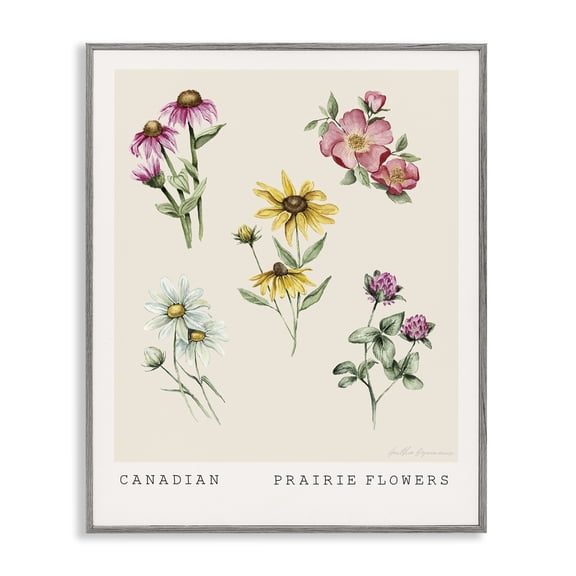 Stupell Industries Canadian Prairie Florals Floral Painting Gray Framed Art Print Wall Art, 11 x 14