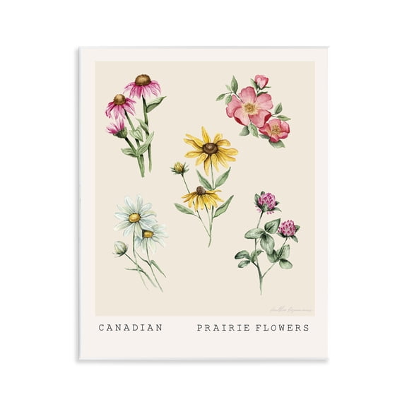 Stupell Industries Canadian Prairie Florals Floral Painting Unframed Art Print Wall Art, 11 x 14