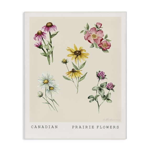Stupell Industries Canadian Prairie Florals Floral Painting Wrapped Canvas Canvas Art Print Wall Art, 30 x 40