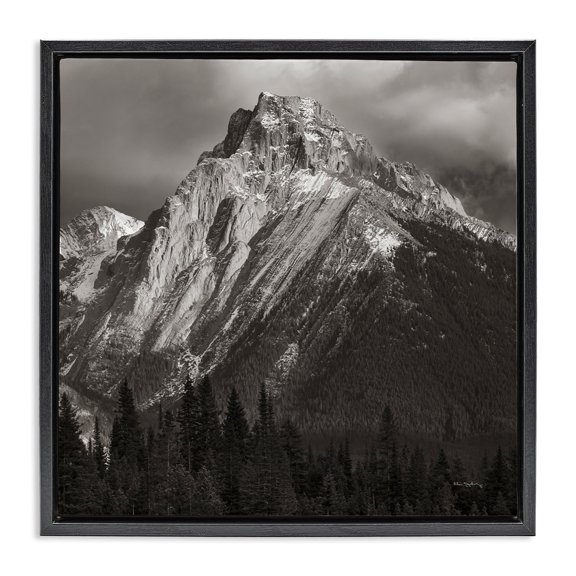 Stupell Industries Canadian Rockies View Landscape & Nature Photography Black Floater Framed Canvas Art Print Wall Art, 25 x 25