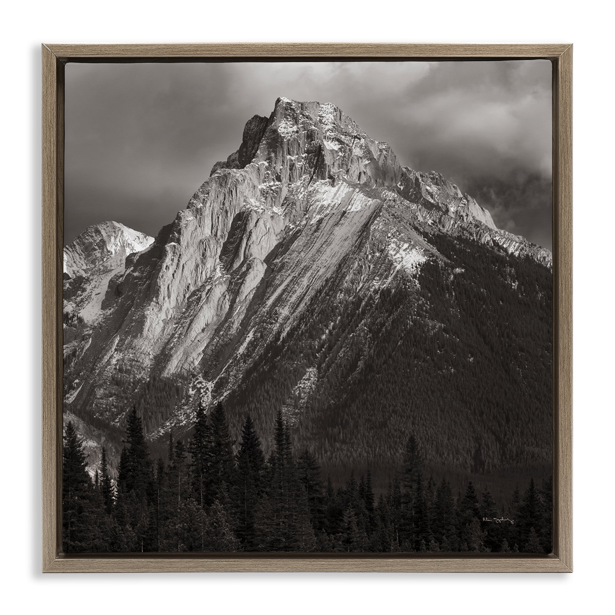 Stupell Industries Canadian Rockies View Landscape & Nature Photography Brown Floater Framed Canvas Art Print Wall Art, 25 x 25