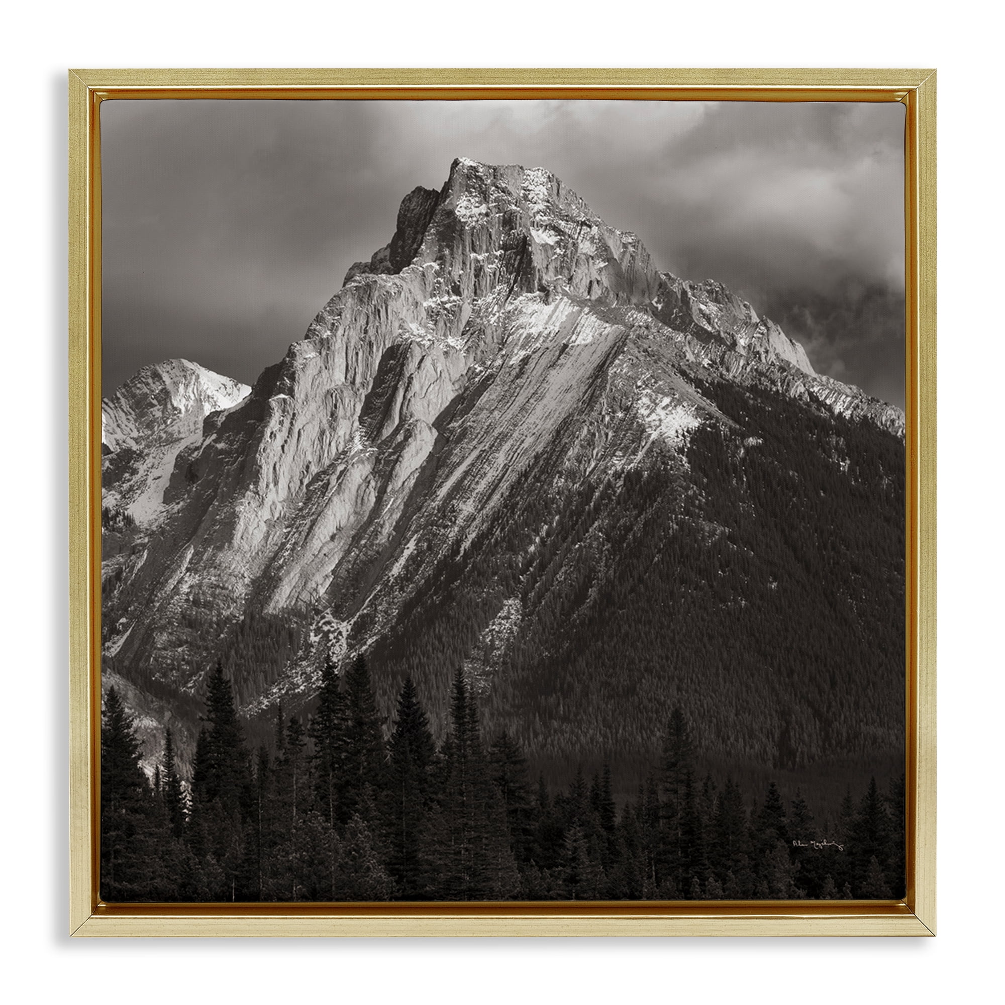 Stupell Industries Canadian Rockies View Landscape & Nature Photography Gold Floater Framed Canvas Art Print Wall Art, 18 x 18