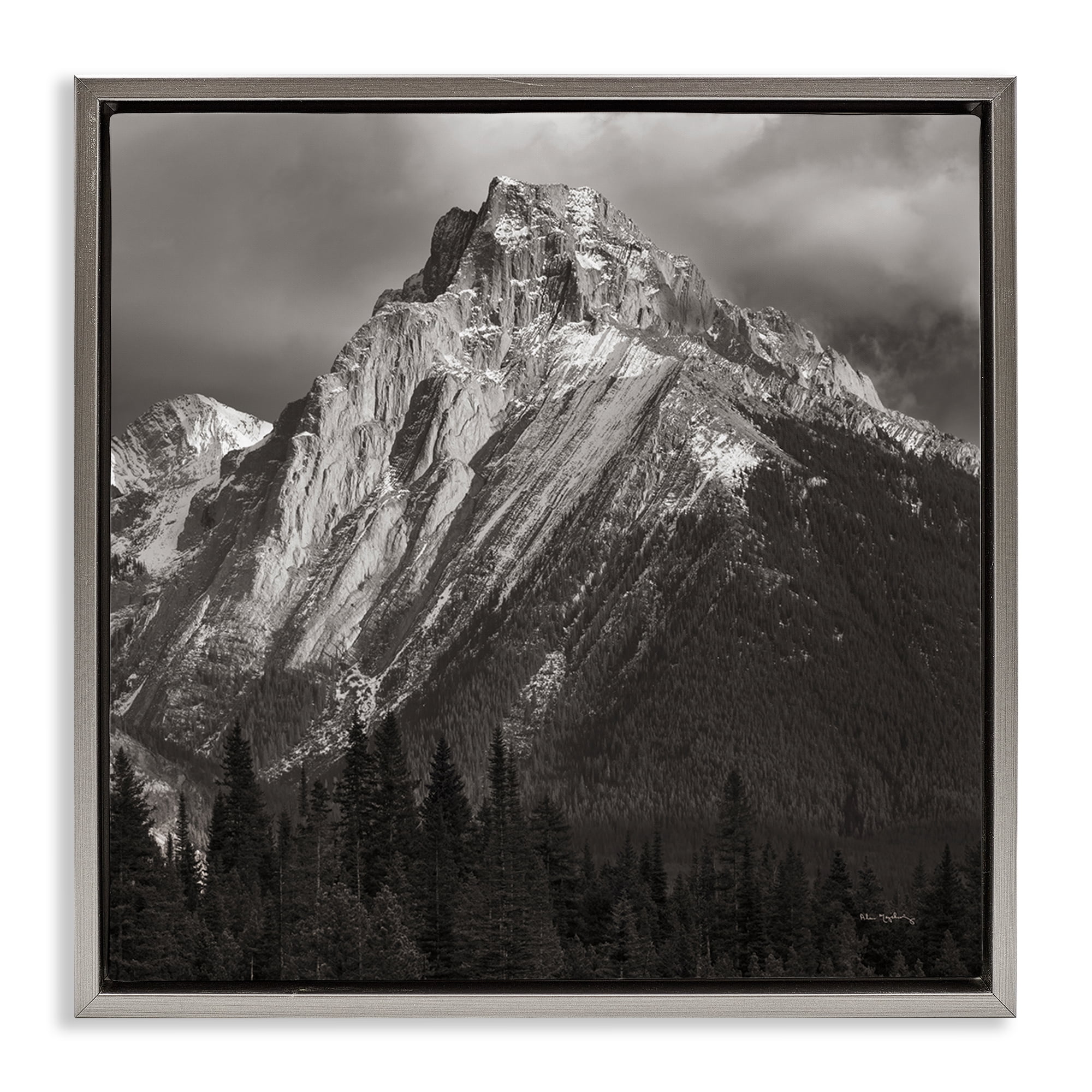 Stupell Industries Canadian Rockies View Landscape & Nature Photography Gray Floater Framed Canvas Art Print Wall Art, 18 x 18