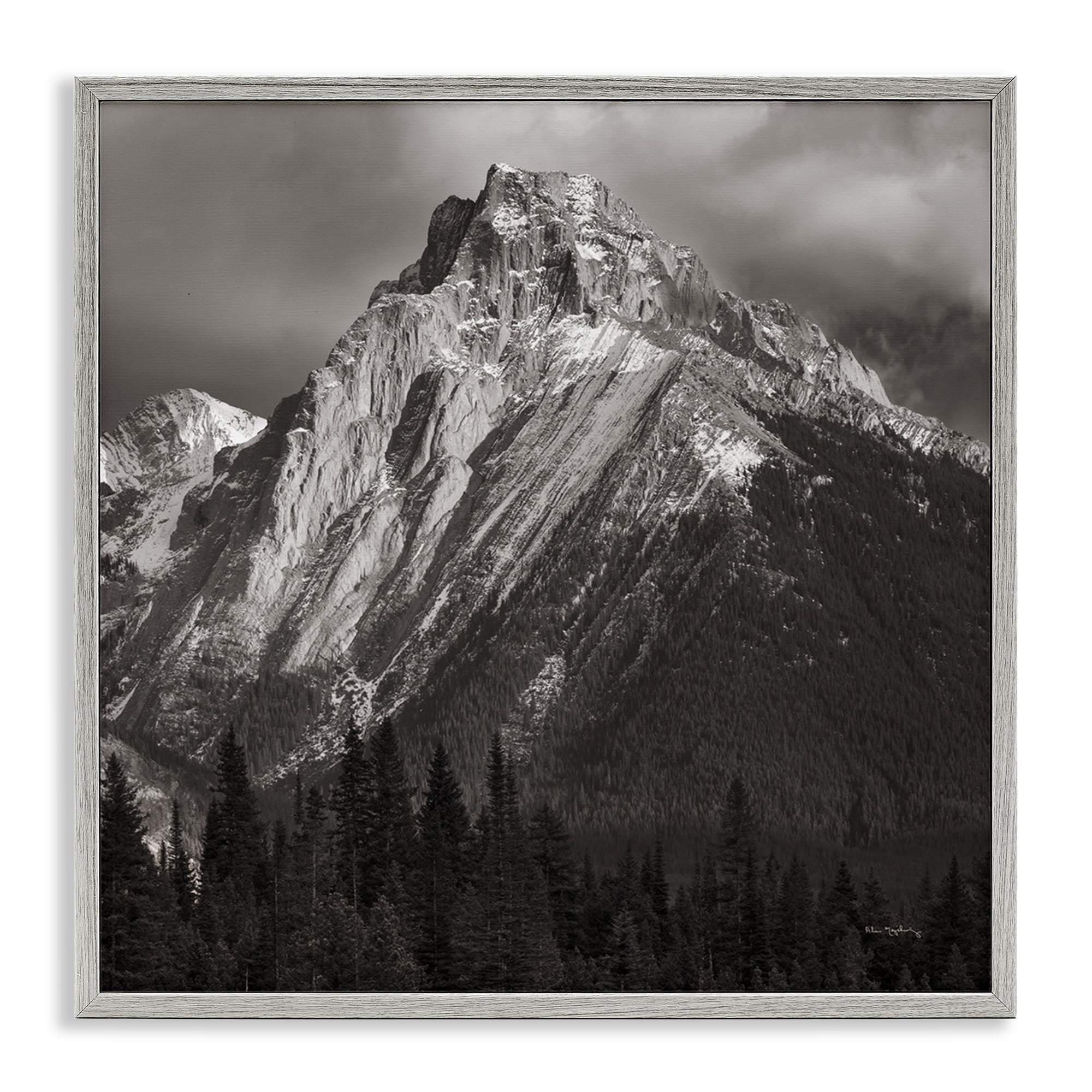 Stupell Industries Canadian Rockies View Landscape & Nature Photography Gray Framed Art Print Wall Art, 12 x 12