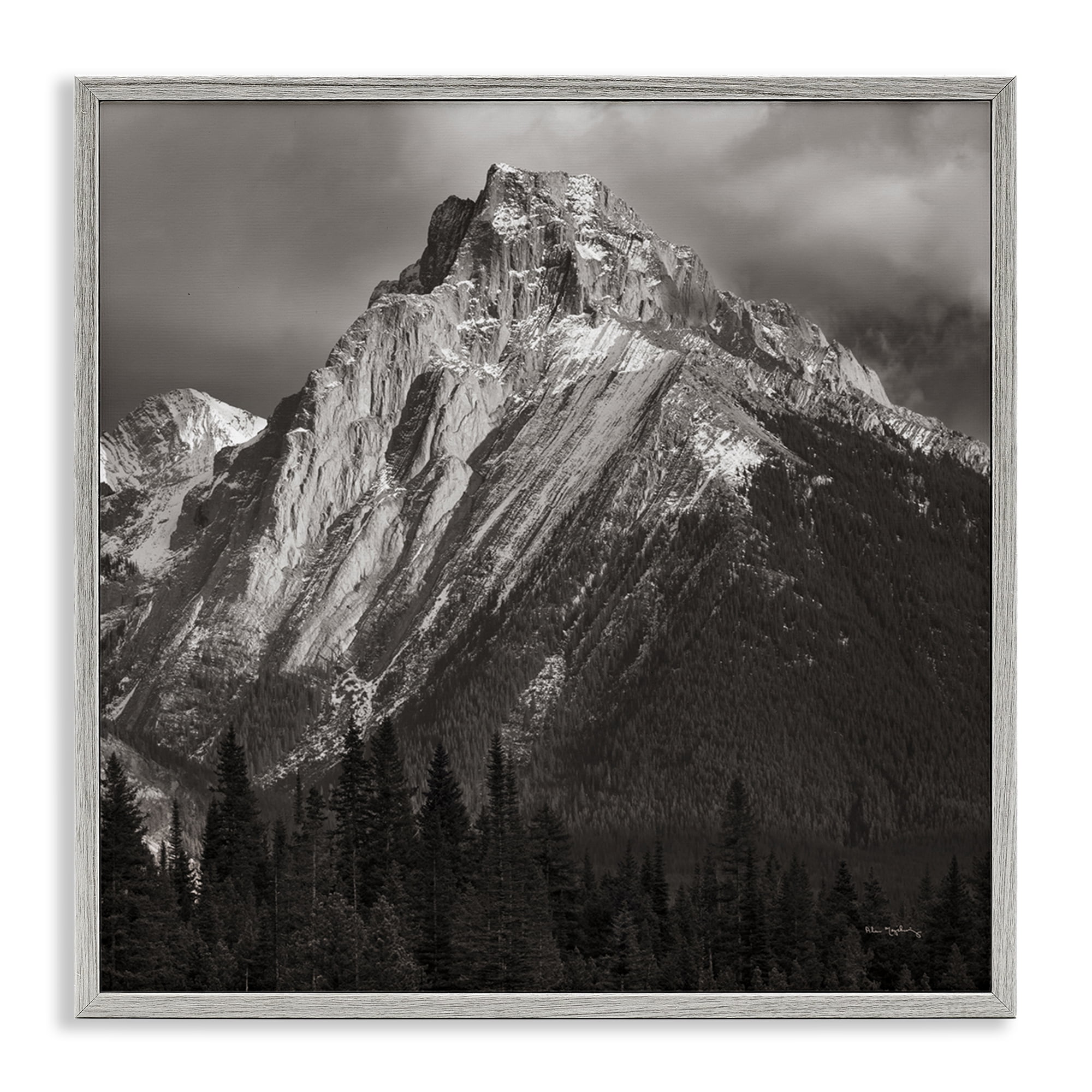 Stupell Industries Canadian Rockies View Landscape & Nature Photography Gray Framed Art Print Wall Art, 17 x 17