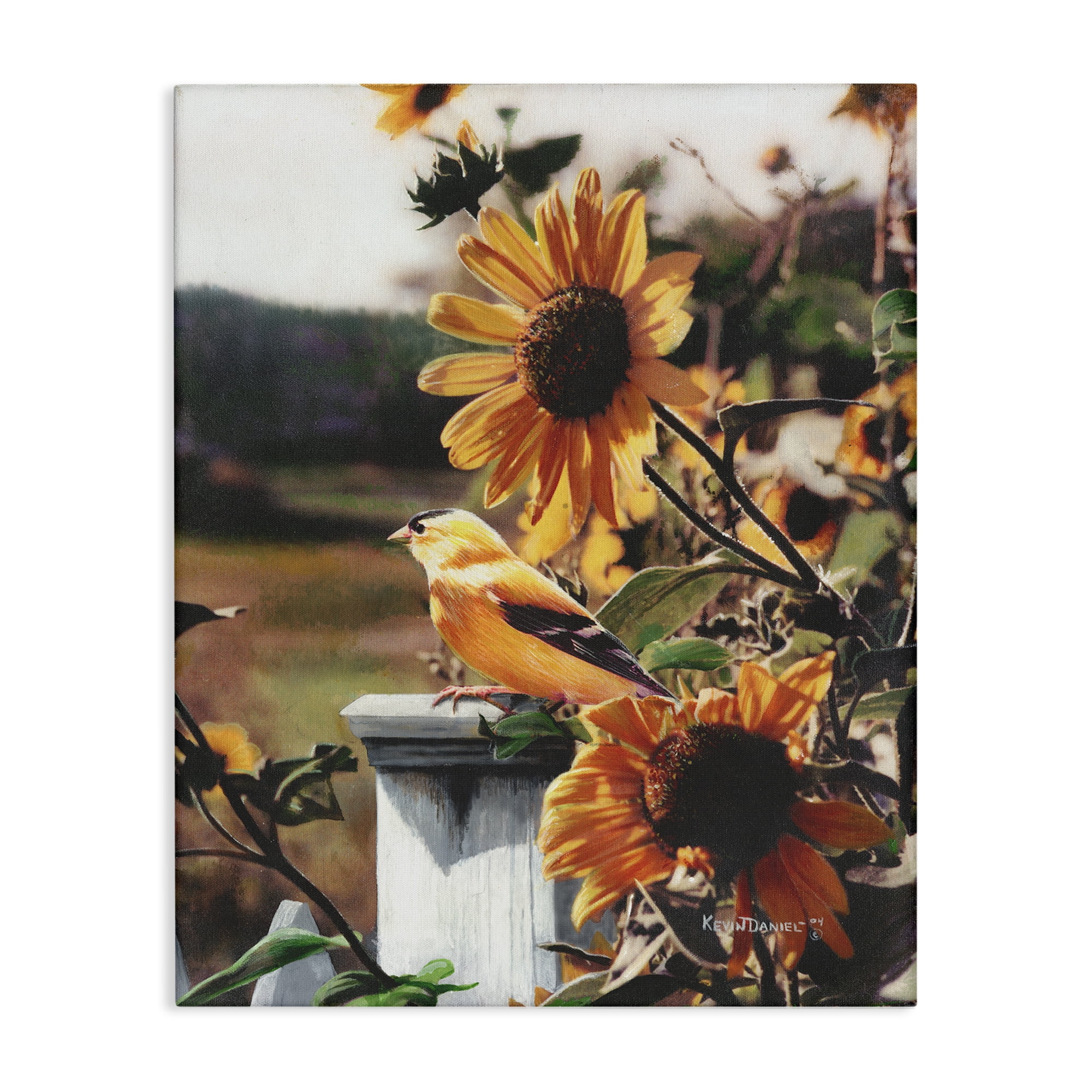 Stupell Industries Canary Bird & Sunflowers Plants & Flowers Photography Wrapped Canvas Art Print Wall Art, 24 x 30