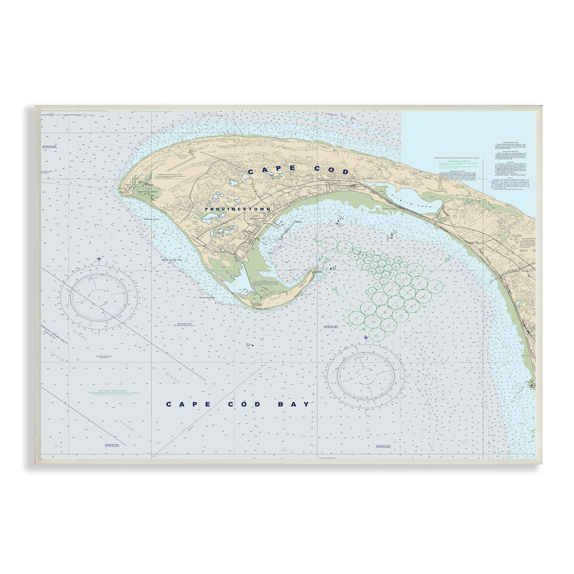 Stupell Industries Cape Cod Massachusetts Cartography Traditional Nautical Map, 10 x 15, Designed by Daphne Polselli