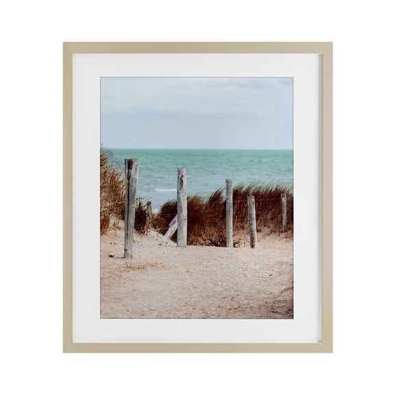 Stupell Industries Capricious Dreams Beach Coast Birch Framed Print Under Glass design by Marcus Prime, 21 x 17