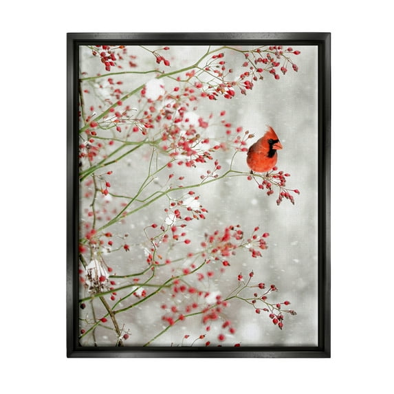 Stupell Industries Cardinal Seasonal Holly Berries Animals & Insects Photography Black Floater Framed Art Print Wall Art, 17 x 21