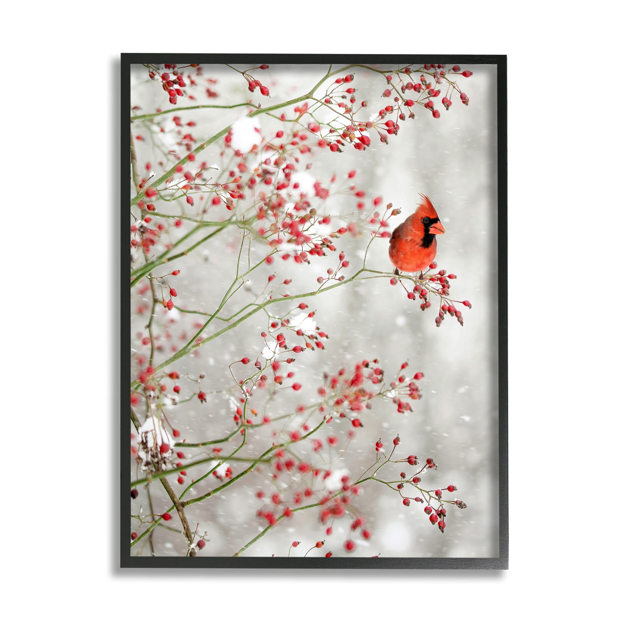 Stupell Industries Cardinal Seasonal Holly Berries Animals & Insects Photography Black Framed Art Print Wall Art, 11 x 14