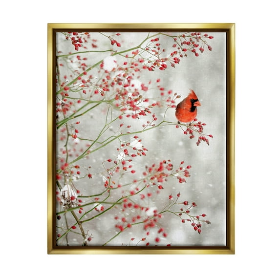 Stupell Industries Cardinal Seasonal Holly Berries Animals & Insects Photography Gold Floater Framed Art Print Wall Art, 17 x 21