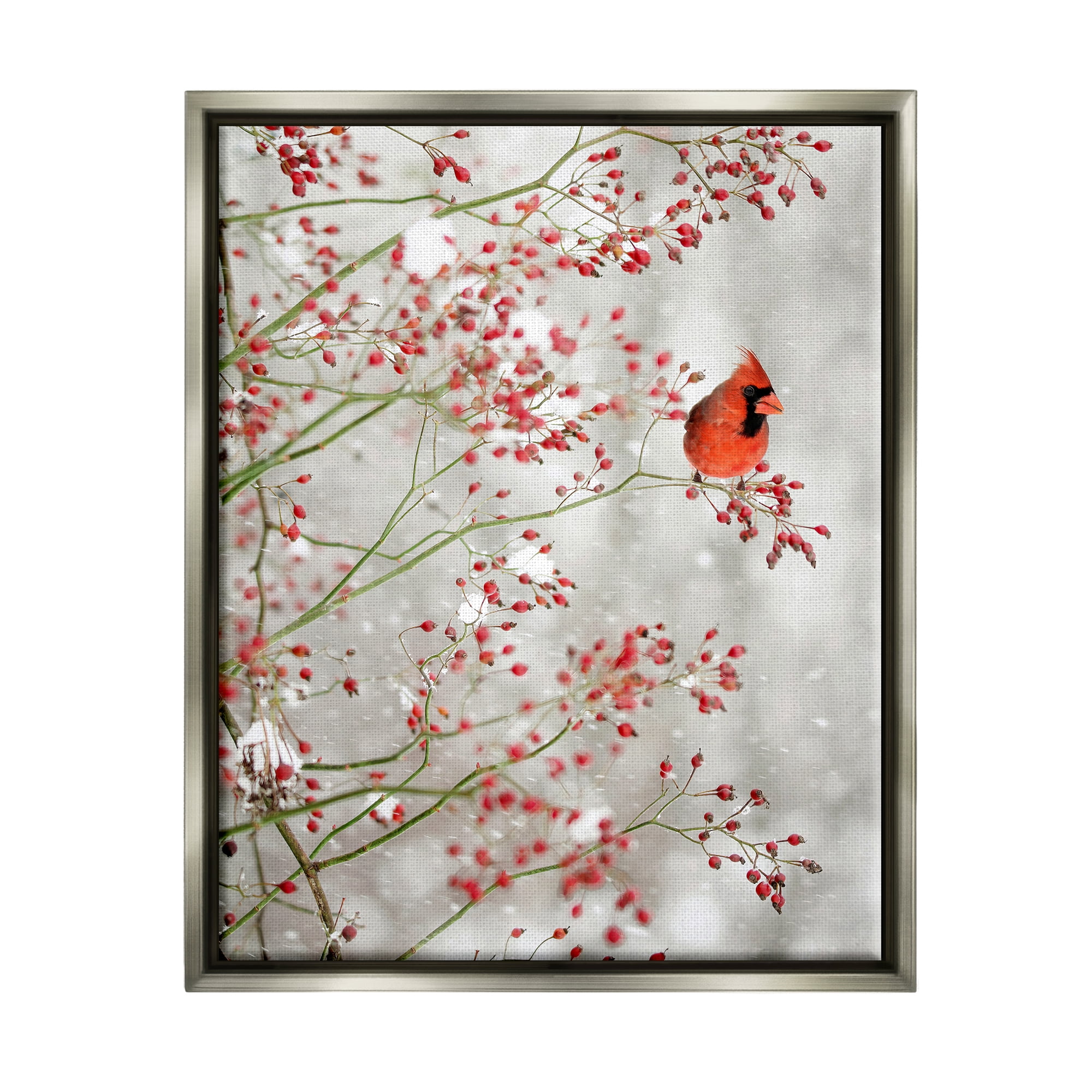 Stupell Industries Cardinal Seasonal Holly Berries Animals & Insects Photography Gray Floater Framed Art Print Wall Art, 25 x 31