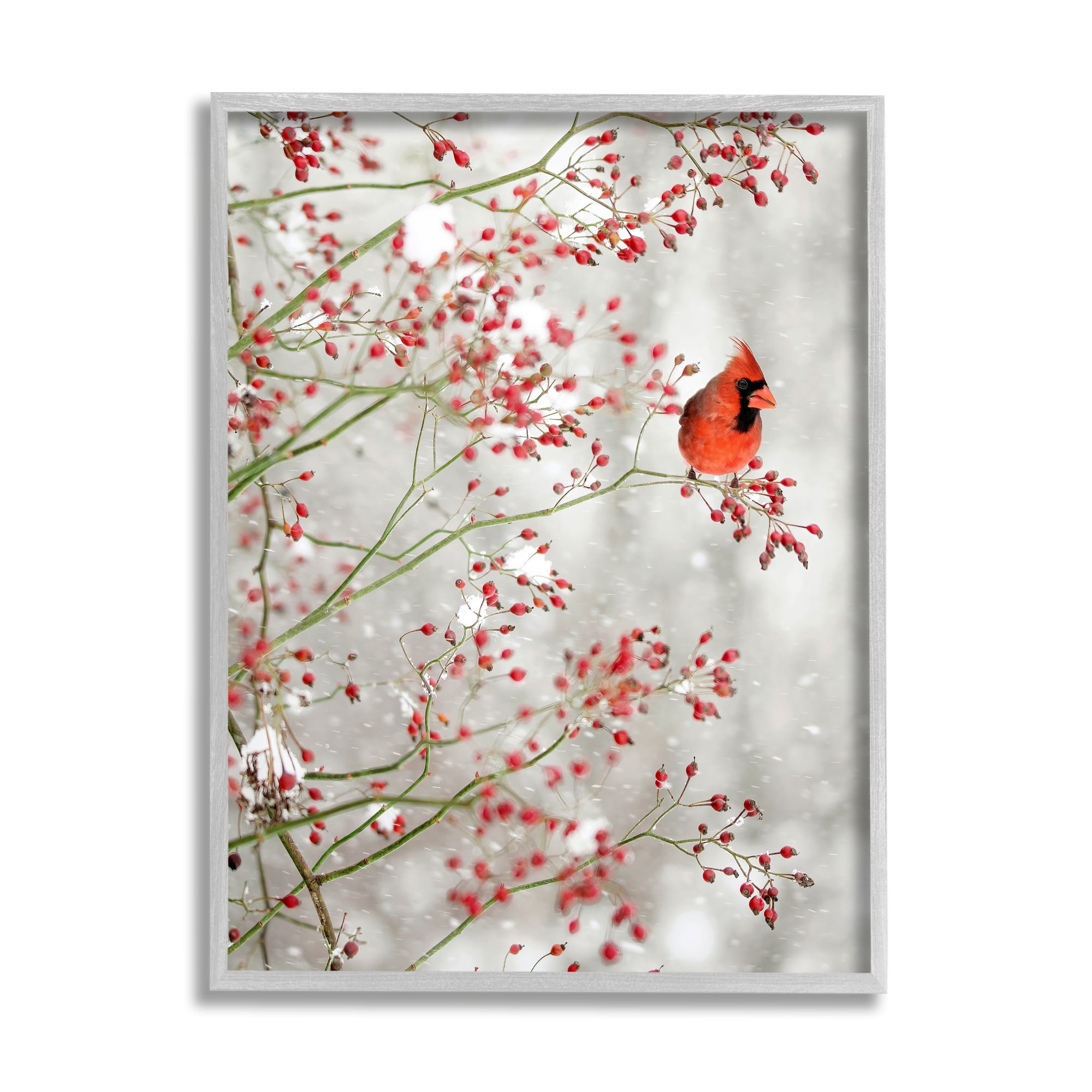 Stupell Industries Cardinal Seasonal Holly Berries Animals & Insects Photography Gray Framed Art Print Wall Art, 16 x 20