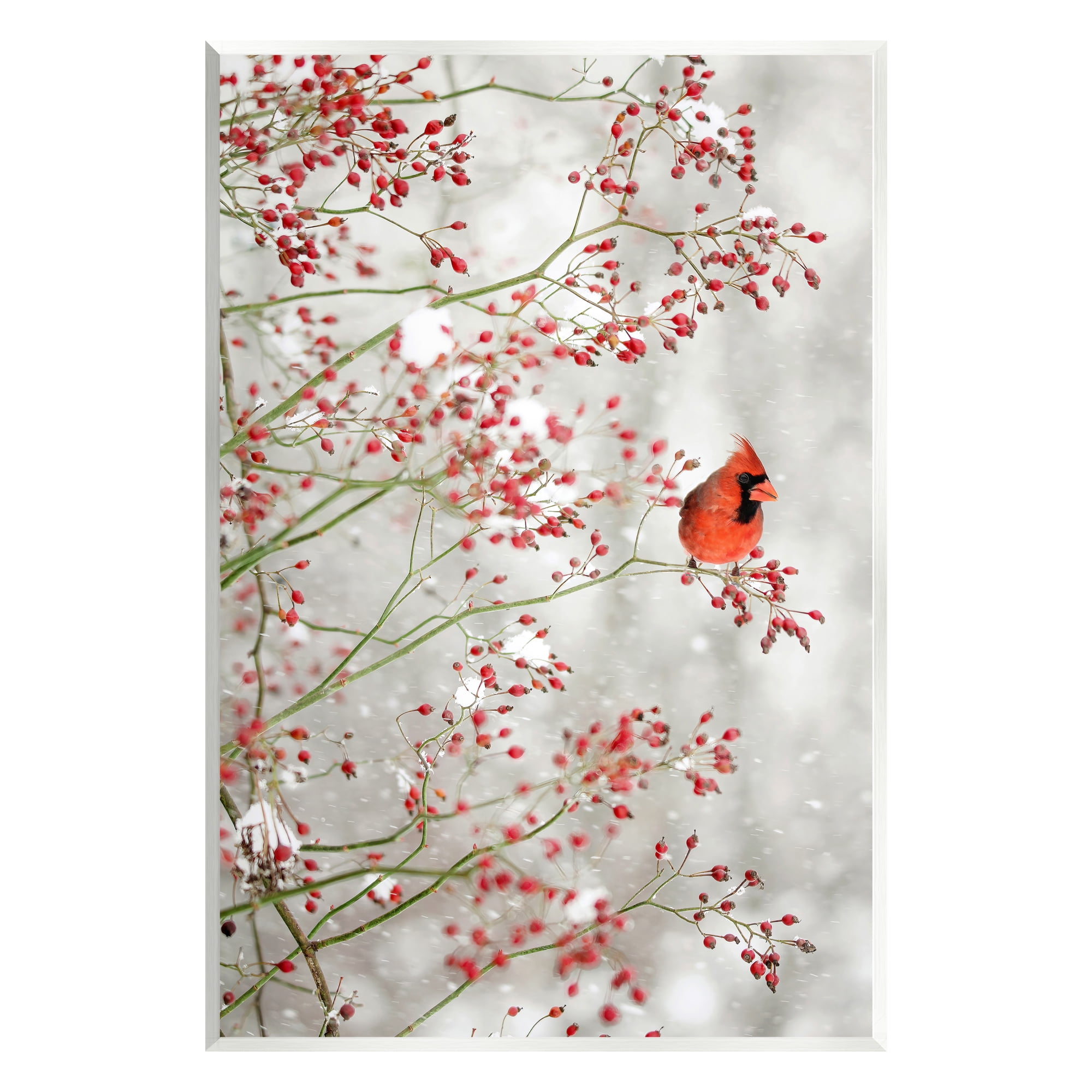 Stupell Industries Cardinal Seasonal Holly Berries Animals & Insects Photography Unframed Art Print Wall Art, 10 x 15