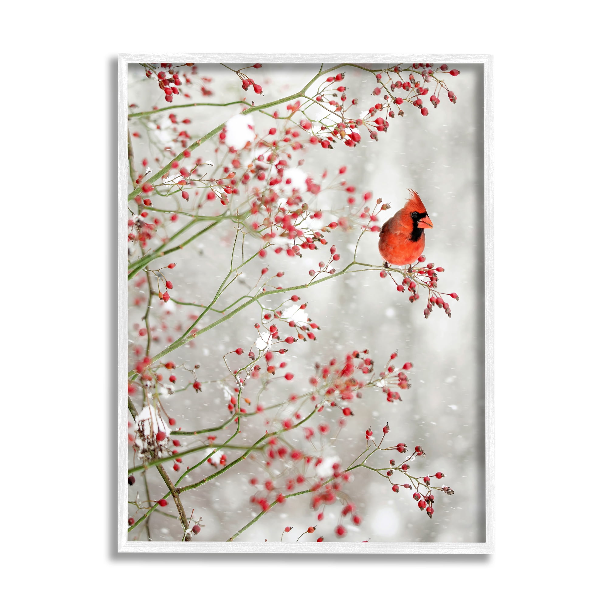 Stupell Industries Cardinal Seasonal Holly Berries Animals & Insects Photography White Framed Art Print Wall Art, 16 x 20